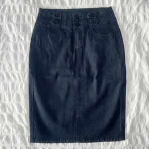 Chiqle Dark Denim Skirt, Small
